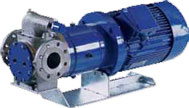 Rotan Magnetically Coupled Pump