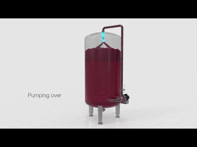 INOXPA RV pump for pumping over - Red wine production
